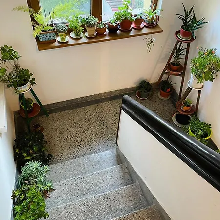 007 с градинка Apartamento