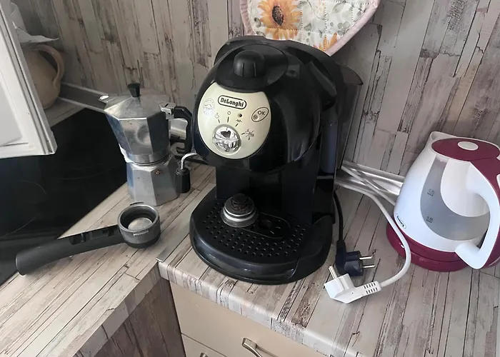 007 с градинка Burgas City